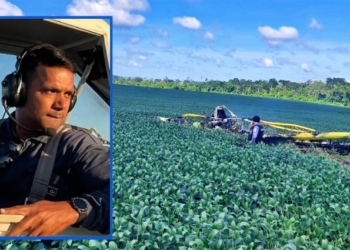 Piloto morre carbonizado após queda de avião agrícola no interior de MT