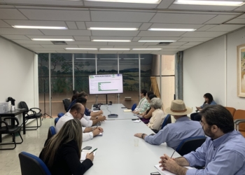 Mato Grosso quer ampliar áreas integradas de lavoura-pecuária-floresta para reduzir emissões de carbono