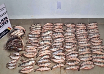 Homem é preso pela PM com 152 unidades de pescado irregular na MT-339