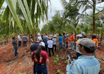 Rio Grande do Norte investe na diversificação agrícola