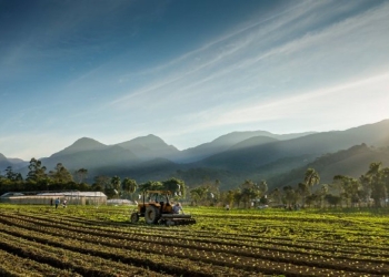 Santa Catarina projeta forte desempenho no agronegócio
