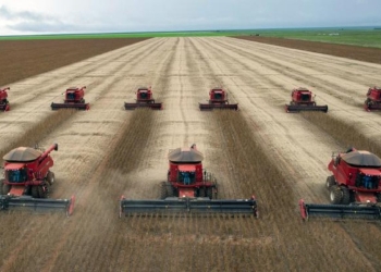Colheita avança apesar dos desafios climáticos e logísticos
