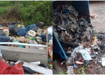 Gerente da Locar presta esclarecimentos na delegacia após denúncia de crime ambiental
