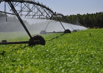 Política Estadual de Agricultura Irrigada incentiva aumento da área de irrigação em MT