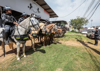 Cavalaria da PM concilia atividade ostensiva e atendimentos sociais para população em MT