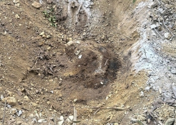 Quatro corpos são encontrados em ‘cemitério do CV’ após cachorro indicar local