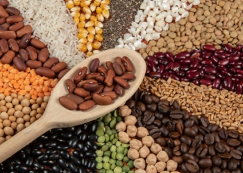 Mapa celebra renovação do PACIC e reforça parceria com o México para exportação de alimentos essenciais