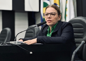 Paula Calil, sobre estacionamento rotativo: “Ao invés de ajudar está prejudicando a população”