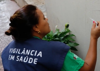 Casos de dengue em 2024 passam de 6,4 milhões; mortes somam 5,9 mil