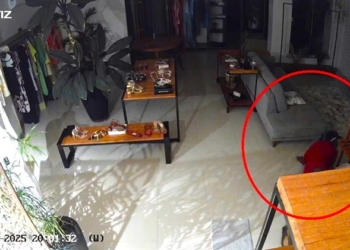Bandido tentar “driblar” sistema de segurança ao se arrastar no chão para furtar loja no centro da cidade