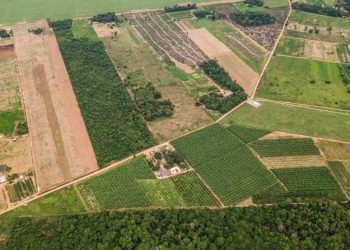 Commodities em alta impulsionam valorização recorde das terras agrícolas no Brasil