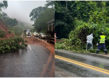Temporal causa deslizamento de terra e queda de árvores na Serra da Petrovina