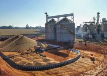 Colheita começa com previsão de safra recorde e déficit de armazenagem