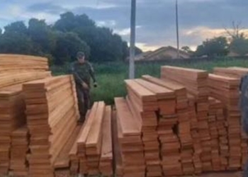 Motorista de caminhão é preso por transportar carga de madeira irregular na MT-420