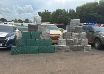Polícia Militar apreende mais de 2,8 toneladas de drogas em 2025