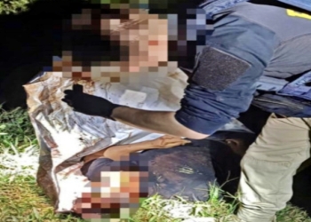 Corpo de homem com marcas no crânio é localizado às margens de estrada que dá acesso a garimpo