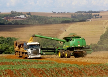 Colheita avança com produtividade acima da média