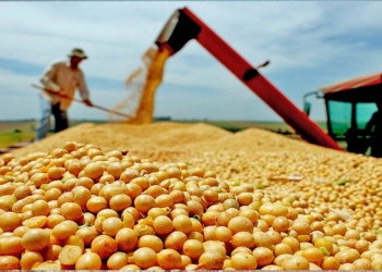 Abertura nacional da colheita da soja 24/25 terá debates sobre sustentabilidade e biocombustíveis