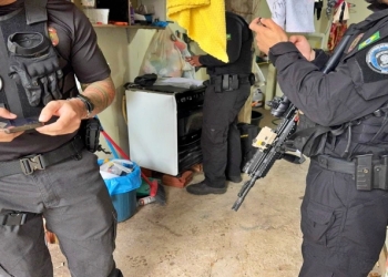 PF mira pedófilo suspeito de armazenar 252 imagens contendo material de abuso sexual infantil