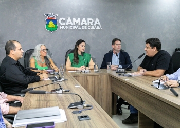 Secretária apresenta estratégias contra arboviroses na Comissão de Saúde da Câmara