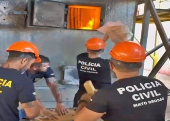 Polícia Civil incinera 3,5 toneladas de drogas apreendidas pelas forças de segurança