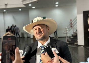 Cattani diz que denúncia contra Bolsonaro é para impedir uma pessoa honesta de disputar presidência