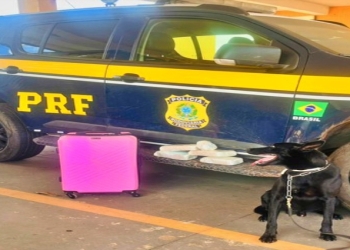 Passageira é presa com 4 kg de drogas em ônibus na BR-364 em Cuiabá