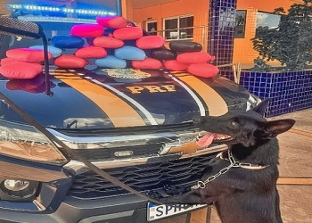 Passageiros de ônibus são presos com oito tabletes de supermaconha e 20 de pasta base de cocaína