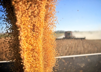 Departamento de Agricultura americano prevê que Brasil vá produzir 173 milhões de toneladas