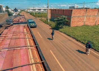 Motorista é preso com drogas, madeira ilegal e carreta adulterada na BR-070