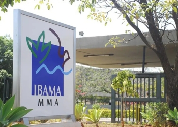 Ibama divulga locais de prova do concurso 2025 para 460 vagas