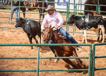 Vencedores de provas equestres vão receber mais de R$ 1 milhão em prêmios