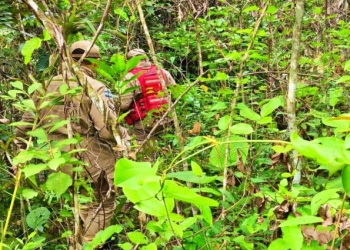 Bebê indígena de 1 e 8 meses desaparece em mata após sair para visitar avô