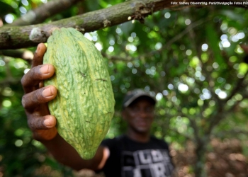 Na semana da Páscoa, indústria de chocolate enfrenta crise histórica