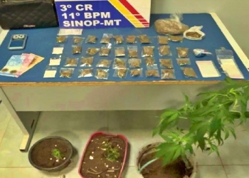 Traficante tenta fugir mas é preso pela PM com porções e pés de maconha em residência