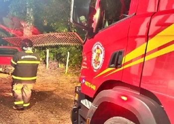 Mulher de 59 anos é socorrida pelo Corpo de Bombeiros após bater carro contra árvore