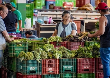 Anvisa inicia monitoramento de resíduos de agrotóxicos em alimentos
