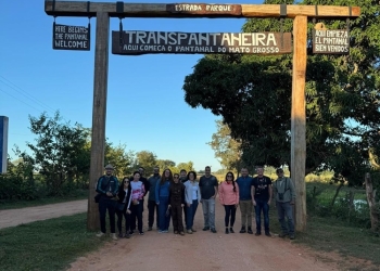 Pantanal encanta operadores norte-americanos e se consolida como novo safári das Américas