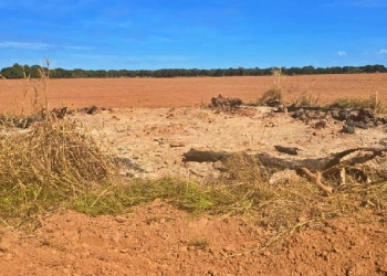 Gerente de fazenda é preso por provocar incêndio no Pantanal mato-grossense