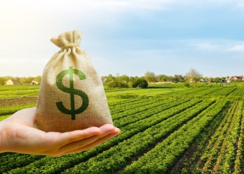 Agricultura pede recursos extras para enfrentar crise sanitária no campo