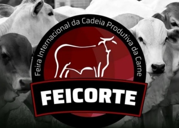 Feicorte 2025 tem expectativa de conseguir forte comercialização
