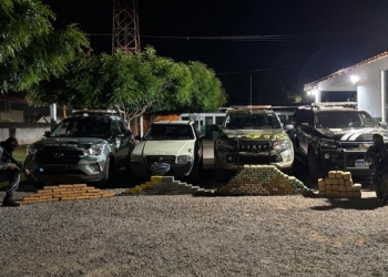 Apreensão de 215 tabletes de entorpecentes causa prejuízo de R$ 3,4 milhões às facções criminosas