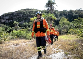 Últimos dias para inscrições no Congresso Internacional de Gestão de Incêndios Florestais