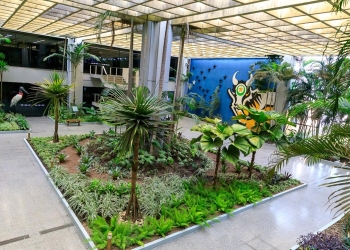 Governo de MT lança CAR Digital 2.0 para agilizar regularização ambiental nesta quarta-feira