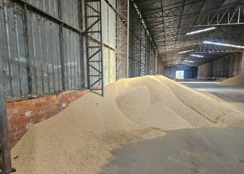 Empresários suspeitos de receptação de carga de soja são presos em Cuiabá