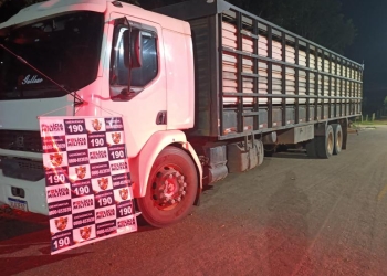 Polícia Militar recupera caminhão com 20 novilhas furtadas na MT-270