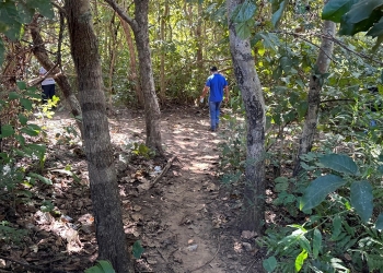 Corpo é encontrado em cova rasa às margens da MT-270