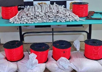 Casal é preso com 210 dinamites que seriam utilizadas em garimpo ilegal