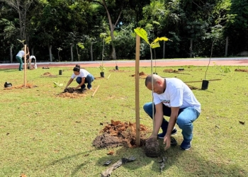 Parque das Águas recebe 200 novas mudas no Dia Internacional do Meio Ambiente