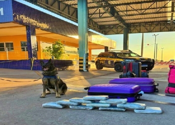 Passageira de ônibus interestadual é presa com 10 tabletes de supermaconha na bagagem